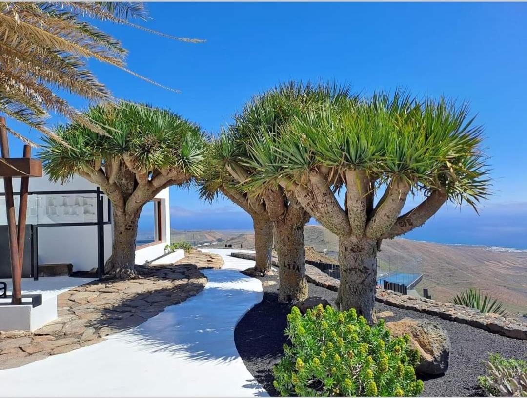 Casa La Tunera, Country House, Haria, Lanzarote Екстер'єр фото